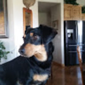 Meet your Posher, Kathy